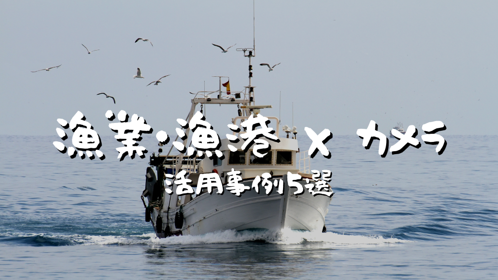 【漁業・漁港】AIカメラ・クラウドカメラ・IoTカメラの活用事例5選