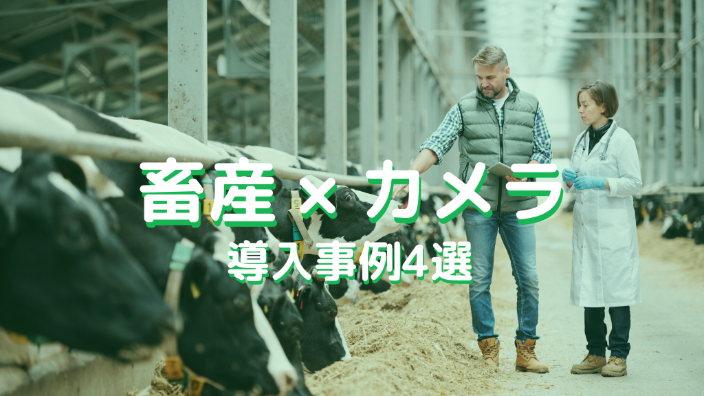 【畜産】AI・クラウド・IoTカメラの活用事例4選
