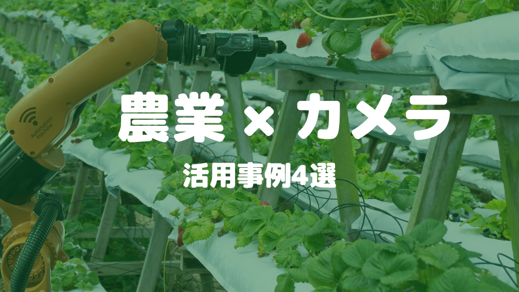 【農業】AIカメラ・クラウドカメラ・IoTカメラの活用事例4選