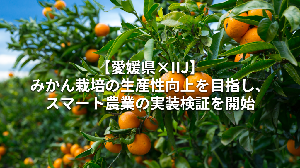 【愛媛県×IIJ】みかん栽培の生産性向上を目指し、スマート農業の実装検証を開始
