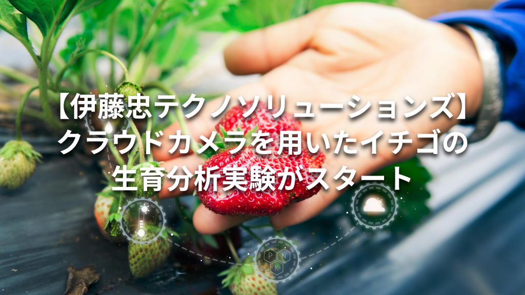 【伊藤忠テクノソリューションズ】クラウドカメラを用いたイチゴの生育分析実験がスタート