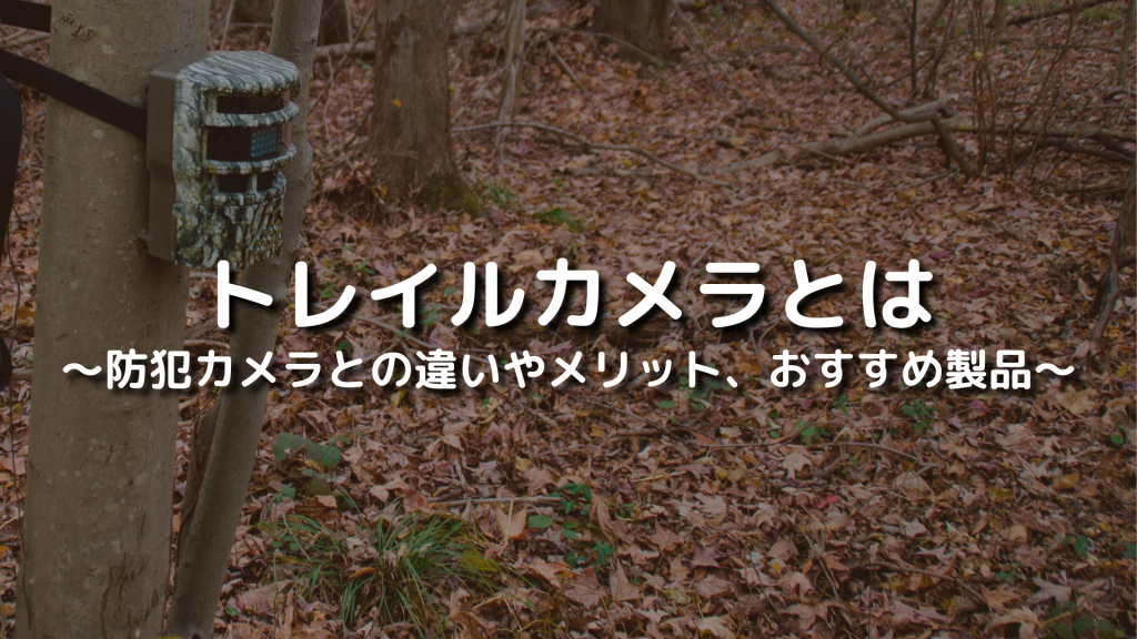 トレイルカメラとは？防犯カメラとの違いやメリット、おすすめ製品を紹介