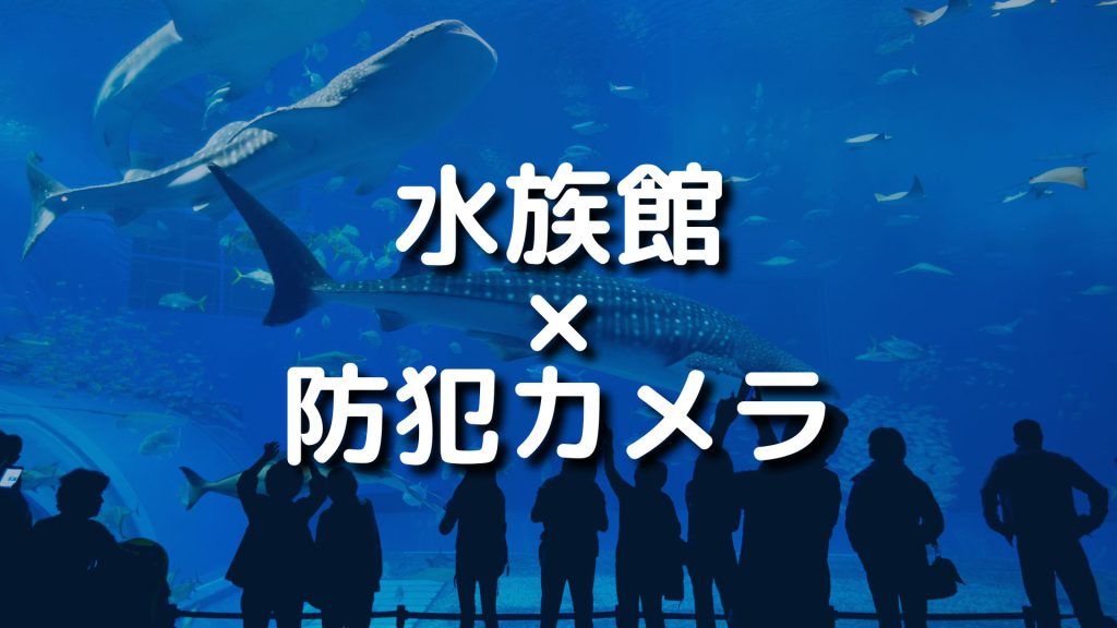 水族館で防犯カメラを導入するメリットと注意点を詳しく紹介