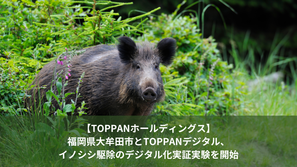 【TOPPANホールディングス】福岡県大牟田市とTOPPANデジタル、イノシシ駆除のデジタル化実証実験を開始